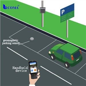 LORA geomagnetinis detektorius